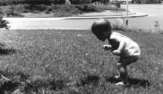 Child discovering things in the grass